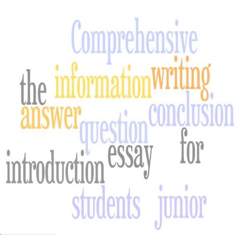 Essays | PPT