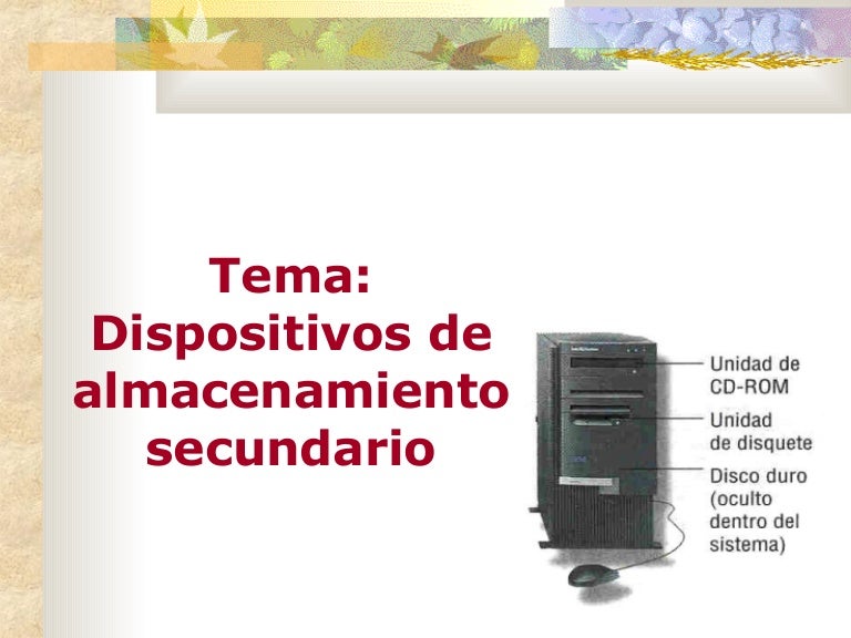 Dispositiovs De Almacenamiento Secundario
