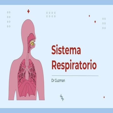 Dispositiva Sistema Respiratorio _20240920_135648_0000.pdf
