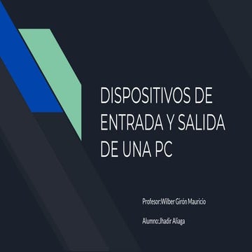 Dispositivos de entrada y salida de una pc