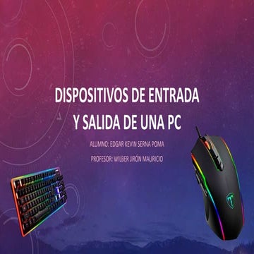 Dispositivos de entrada y salida de una pc1
