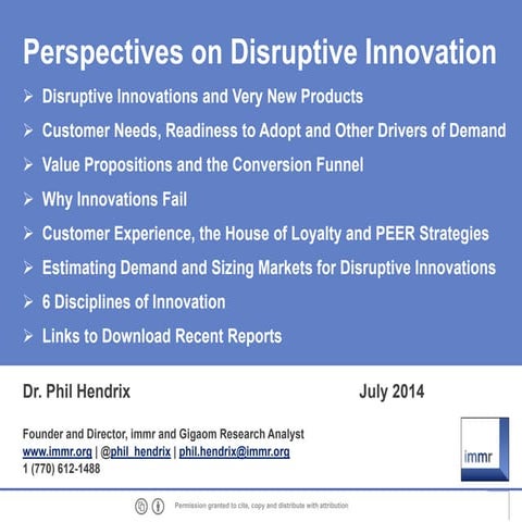 Perspectives on Disruptive Innovation