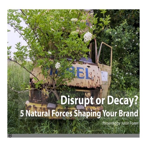 Disrupt or Decay? 5 Trends Shaping Your Brand
