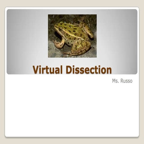 Lesson Plan Dissection | DOCX