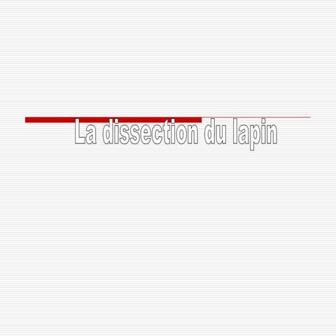 dissection | PPT