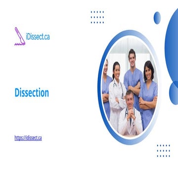 Comprehensive Human Anatomy Exploration Through Professional Dissection ...