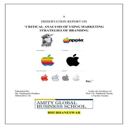 Dissertaion on apple inc