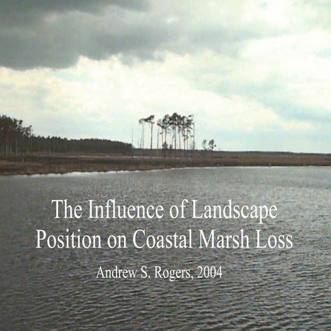 Landscape Position and Coastal Marsh Loss
