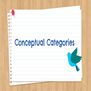 Conceptual Catigories