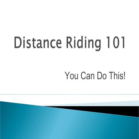 Equestrian Jumping: 6 Basic Tips for Beginnners | PDF