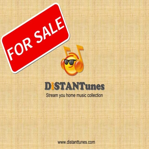 DiSTANTunes - business overview