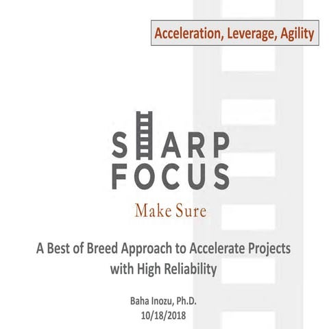 A Best of Breed Approach to Accelerate Projects  with High Reliability 
