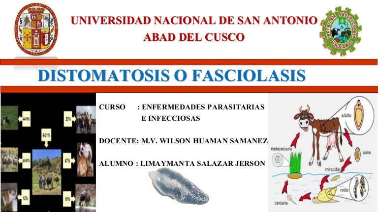 enfermedad parasitaria caracol