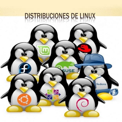 Distribuciones de linux