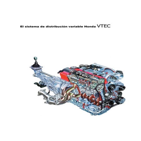 Distribucion variable   vtec-