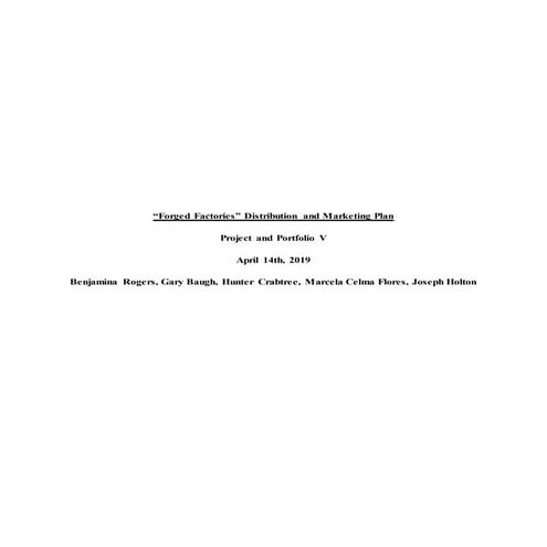 Distribution and Marketing Plan for 'Soiled It!' | PDF