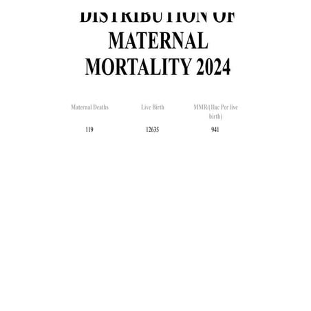 Comprehensive Analysis of Maternal Mortality Distribution and Causes in ...