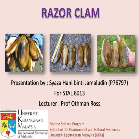 Distribution of razor clam | PPTX