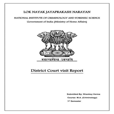 District court visit report