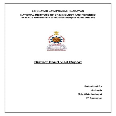 District court vsit report