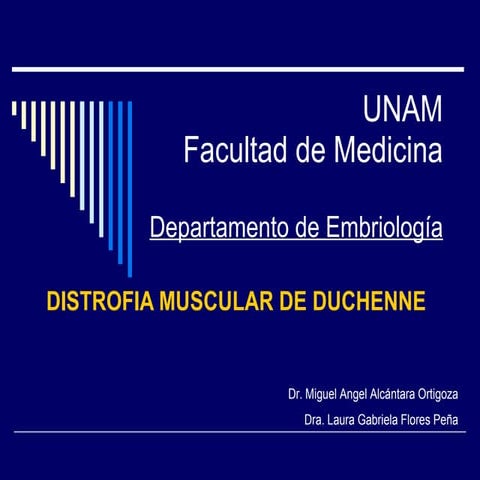 Distrofia muscular de duchenne | PPTX