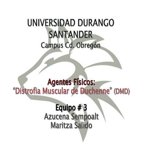 Distrofia muscular de duchenne | PPTX