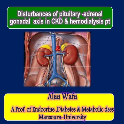 Disturbances of piturtary  adrenal gonadal  axis in hemodialysis pt
