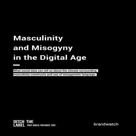 Masculinity and Misogyny in the Digital Age