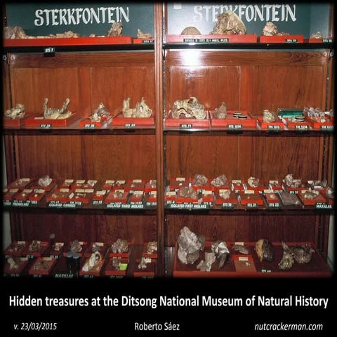DITSONG NATIONAL MUSEUM OF NATURAL HISTORY PHOTOS ENTRANCE FEE visual data 5