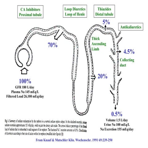 Diuretics | PPT
