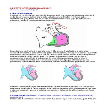 Il truncus | PDF