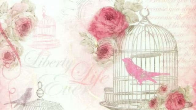 Divagando marilza pereira calsavara