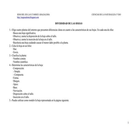 Diversidad de las hojas