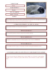 Diversidade animais ficha de animai...