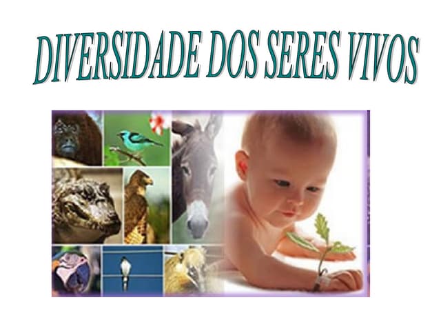 Diversidade biologica