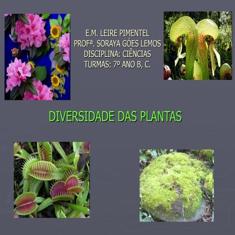 Diversidade das plantas