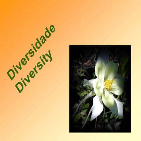 Diversidade e multiculturalidade