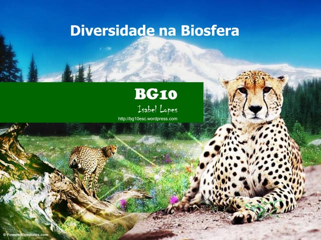 Diversidade na biosfera