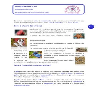 Diversidade nos animais   variedade...