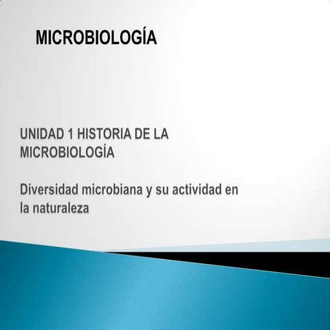 Diversidad microbiana