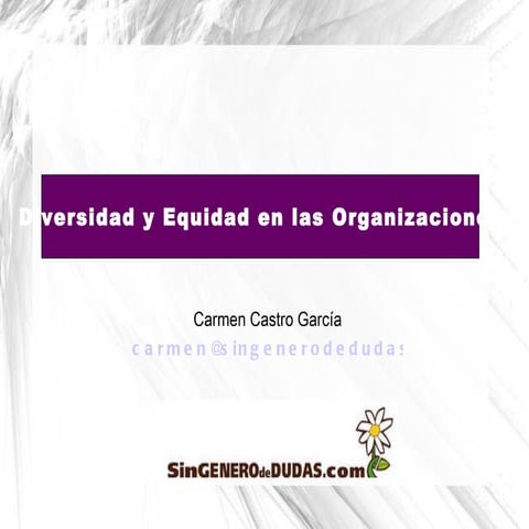 Diversidad y equidad en las organizaciones