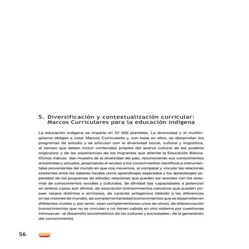 Diversificacic3b3n y-contextualizacic3b3n-curricular-peb2011