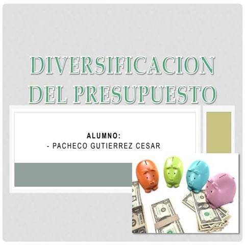 DIVERSIFICACIÓN DEL PRESUPUESTO