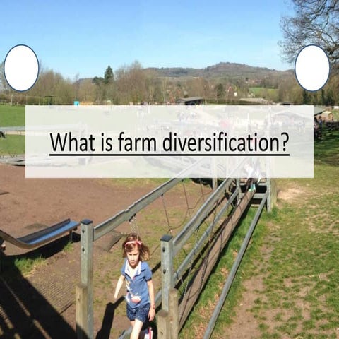 Diversification