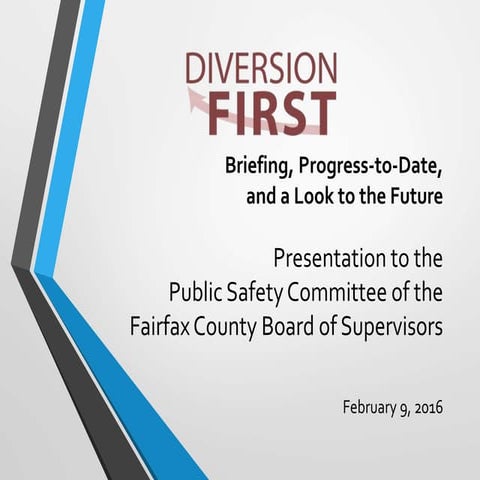Diversion First: Briefing, Progress-to-Date, and a Look to the Future