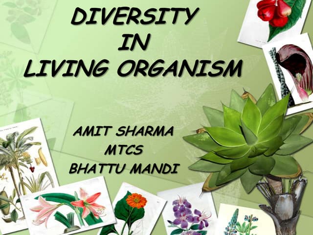 Diversity In Living Organisms