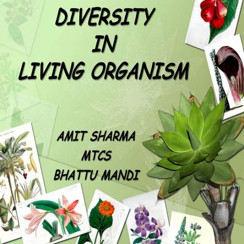 Diversity in living organisms....