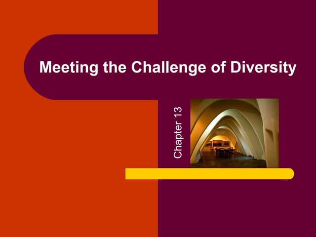 Diversity (HRM)