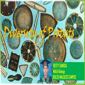 Diversity of protists by resty samosa ma ed biology  