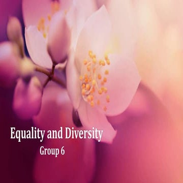 Diversity and Equality